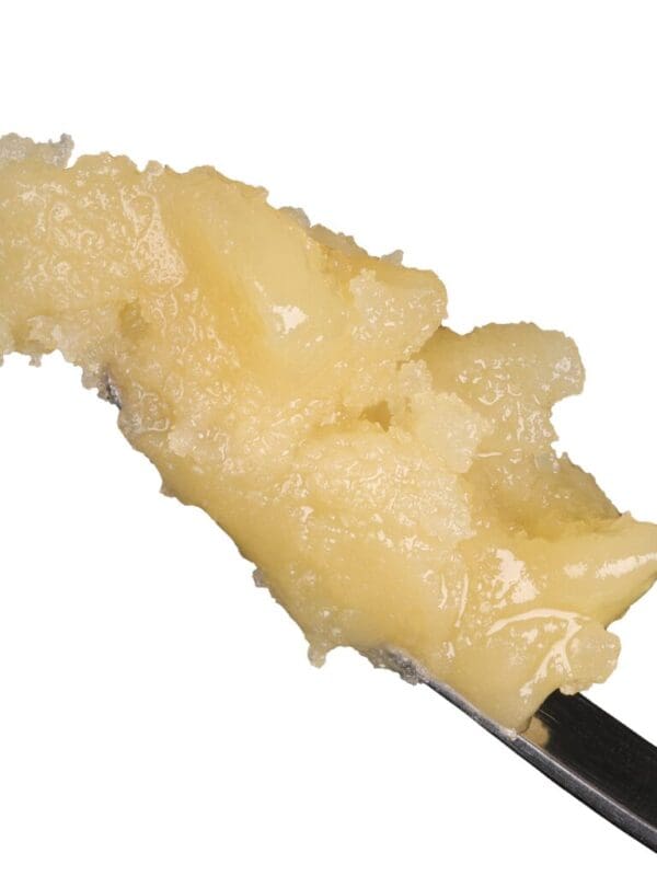 Sauce Rosin Labs Holy Grail Signature Live Rosin 1g jar showing premium wet batter texture and light golden solventless concentrate quality.