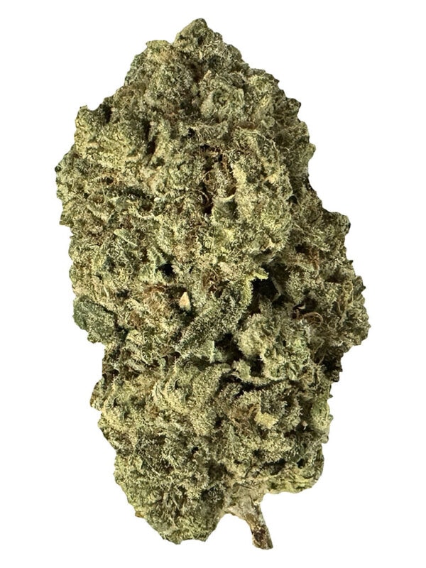 Terp Town Collective Pirate Milk 3.5g Hybrid craft cannabis flower featuring dense, frosty trichomes.