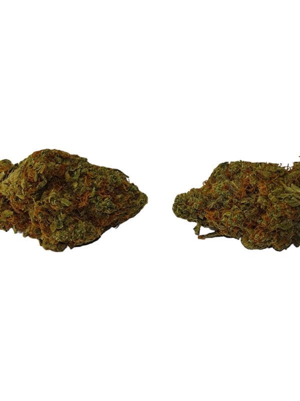 True Core Uzi 14g Sativa Big Bag featuring premium, hand-trimmed craft cannabis flower.