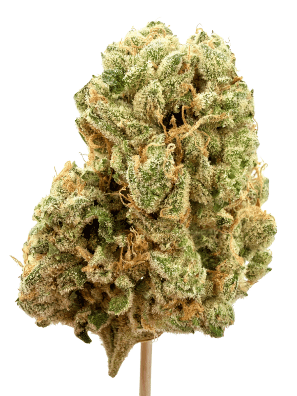 Wonderbread Headstone Cannabis Sativa 3.5g premium craft flower