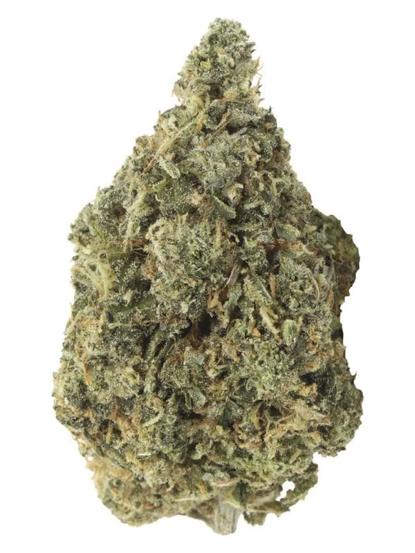Bubblegum Marker 14g Carmel Montrose Cannabis