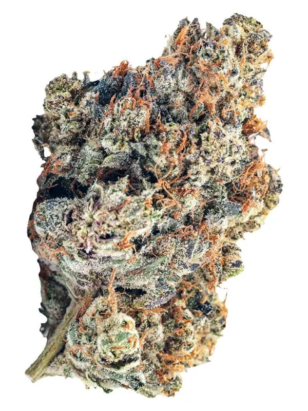 Yuck Mouth 14g BLK MKT Montrose Cannabis