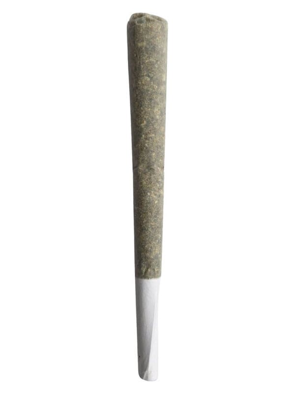Cobb Salad Pre-Roll Single <br>Hybrid <br>26.2% | 1.59% Terps