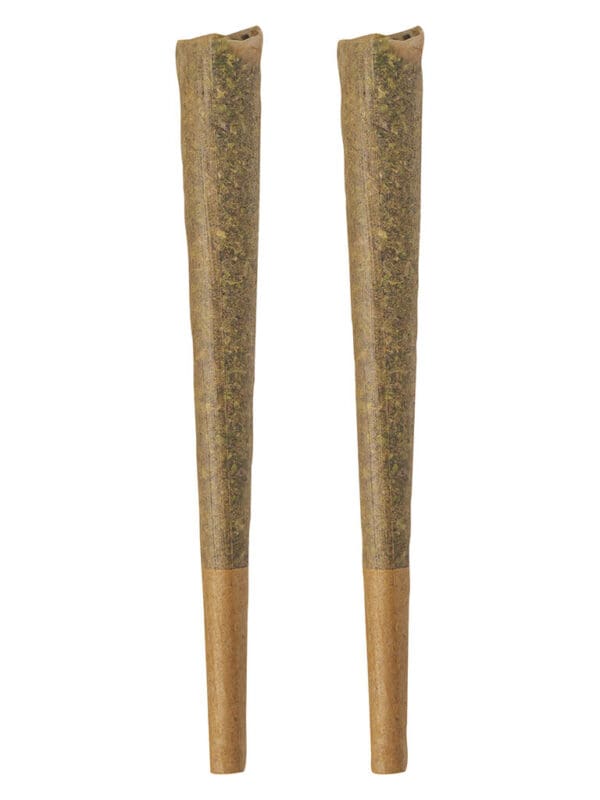 GLAZED Indica (GMO Cookies) Pre-Rolls 2 Pack <br>31.5% | 2.89% Terps