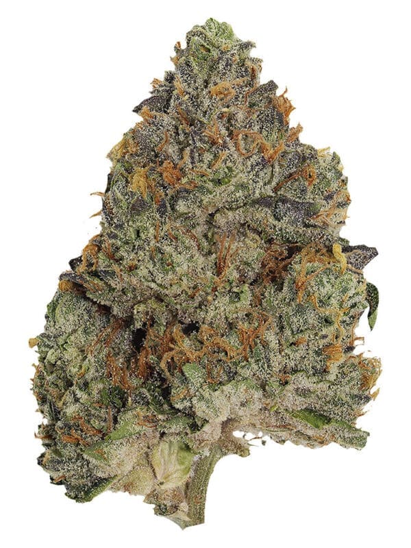 Blue Zushi 3.5g craft indica flower by Pistol and Paris - Montrose Cannabis