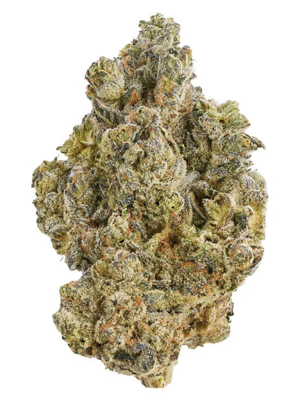 Broken Coast La Bomba 3.5g Dried Flower Container and Buds - Premium Hybrid Cannabis Ontario