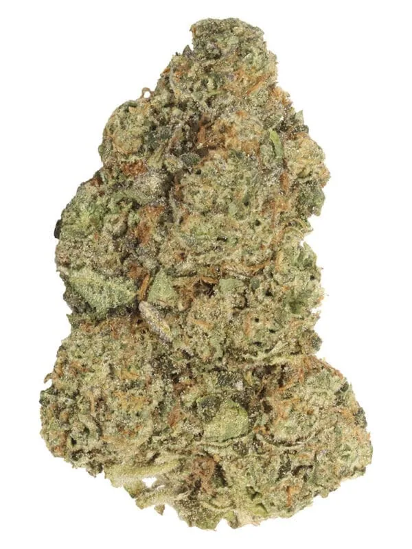 Spiked Mai Tai 7g Carmel Montrose Cannabis