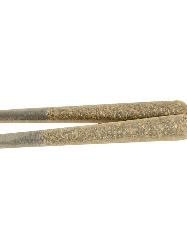 Indica Schmindica Pre-Rolls 2 Pack <br>27.5% | 1.17% Terps