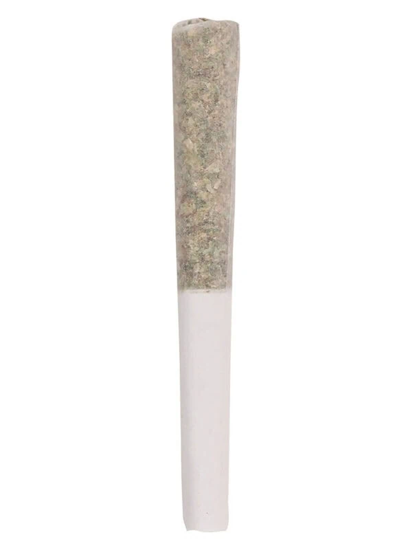 5 Points Durban Poison Pre-Rolls cannabis pre-rolls multi-pack close-up at Montrose Cannabis
