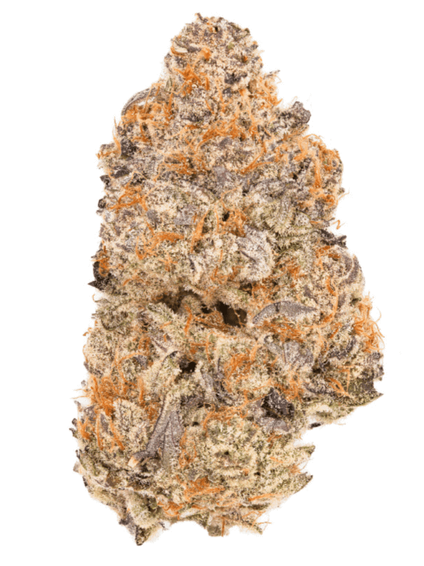 Chopper's Pick 28g Eastcann - Montrose