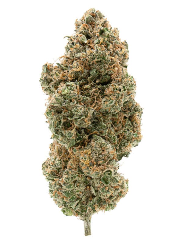 BC Organic Tangerine Sunrise 3.5g premium organic sativa cannabis flower by Simply Bare, available for local delivery from Montrose Cannabis.
