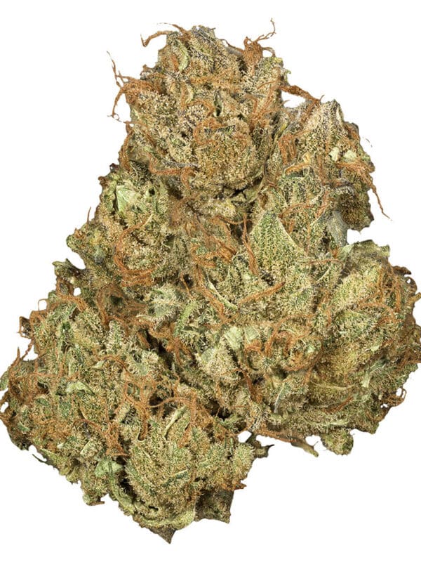 Jean Guy CBD 3.5g balanced sativa dominant cannabis flower by Orchid CBD, available for local delivery from Montrose Cannabis.