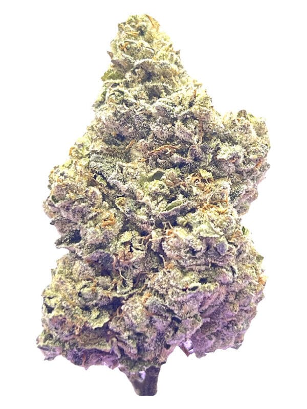 Royal Dive #7 Scarface OG 3.5g premium cannabis flower by HighXotic, available for local delivery from Montrose Cannabis.