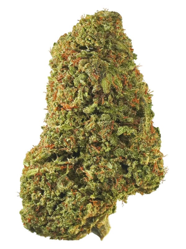 Tropicanna 7g premium sativa cannabis flower by 1964, available for local delivery from Montrose Cannabis.