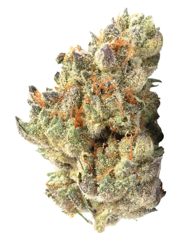 Purple Haze 3.5g flower by LaHoja sativa cannabis strain featuring vibrant purple buds and Haze x Purple Thai genetics.