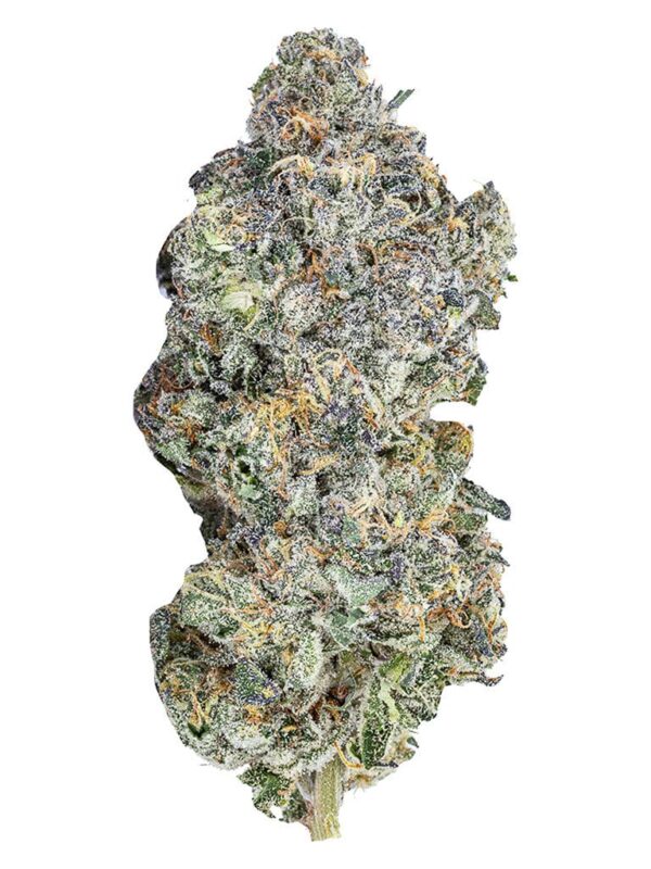 Daft Phunk – Sixty Seven Sins Indica Flower 7g | Montrose Cannabis