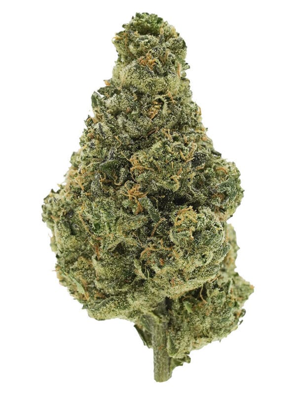 BC Organic Lime Drizzle – Simply Bare Indica 28g | Montrose Cannabis