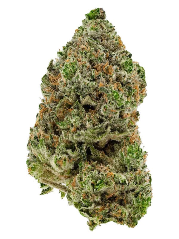BC Organic Hibachi Blue – Simply Bare Indica | Montrose Cannabis