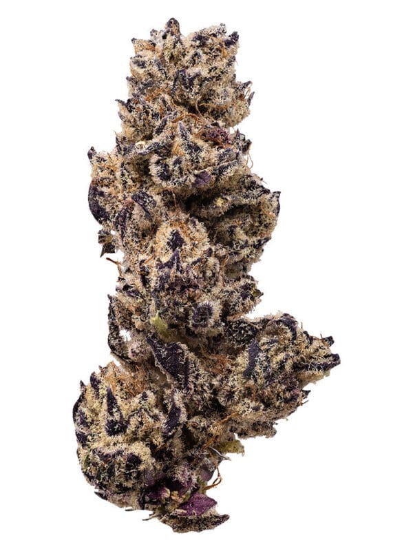Creme Brulee – Queen of the Underground Hybrid 28g | Montrose Cannabis