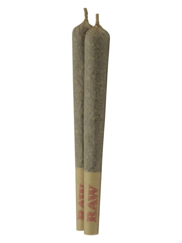 Candy Fumez Pre-Rolls 2 Pack | Common Ground | Montrose Cannabis