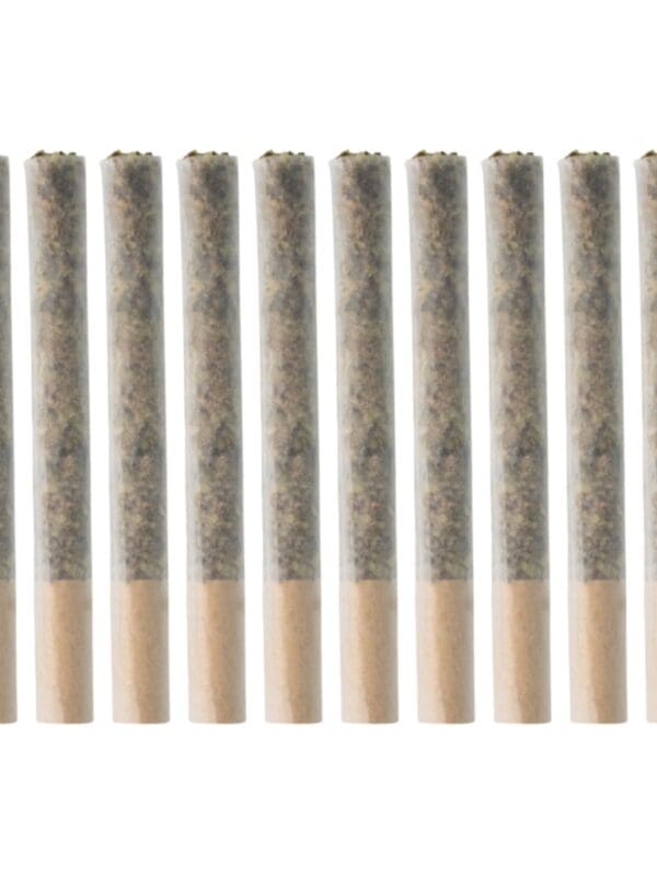 Day Dreamin' CBD 10 Pack Pre-Rolls | Grown Here Farms | Montrose Cannabis