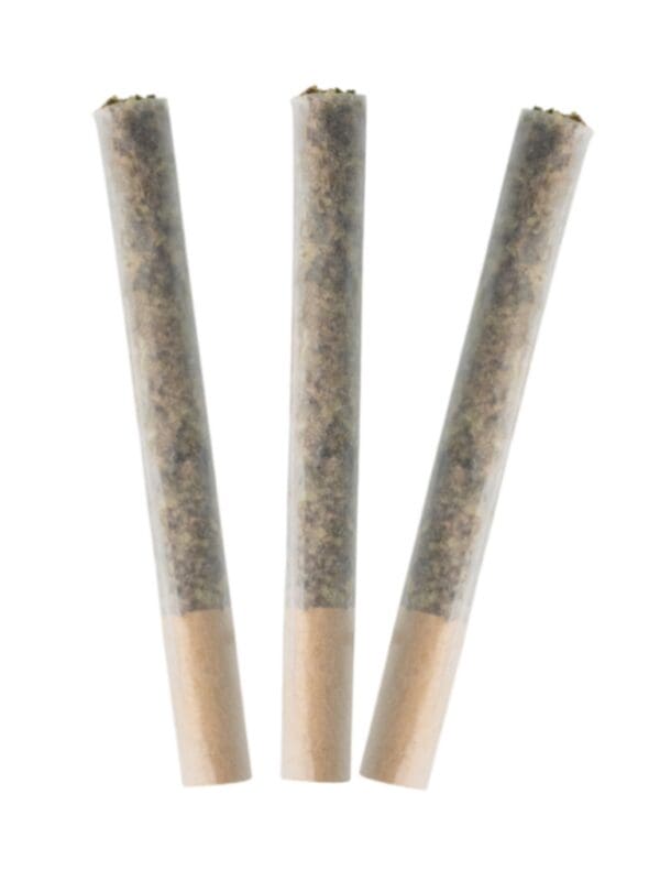 Day Dreamin' CBD Pre-Rolls 3-Pack | Grown Here Farms | Montrose Cannabis