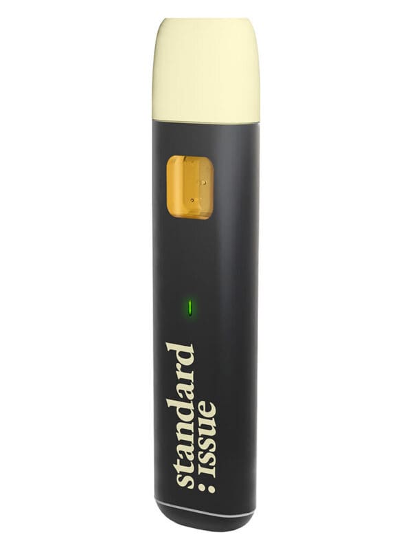 Watermelon AIO Disposable Vape 1g – Standard Issue | Montrose
