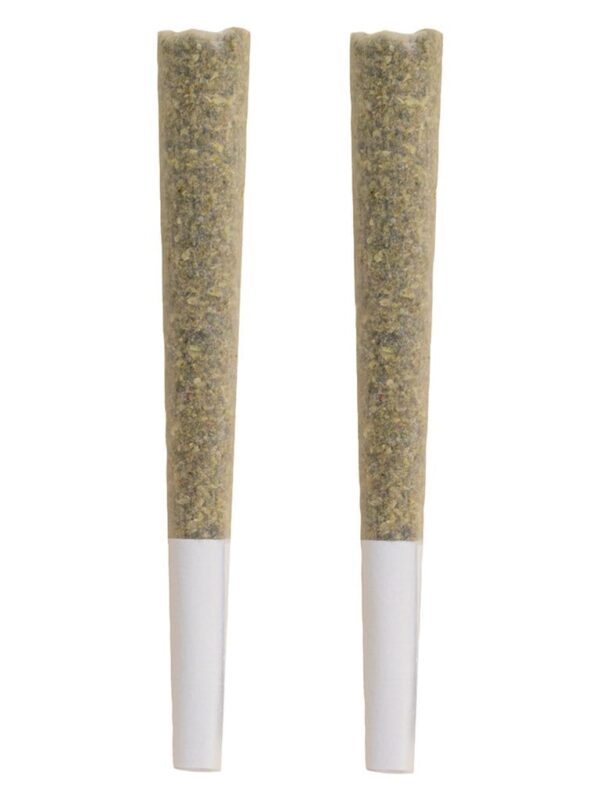 Black Label Pre-Rolls 2 Pack (2x1g) - The Republic | Montrose