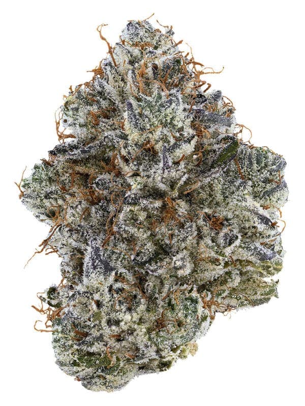 Neon Sunshine 14g Flower – Tribal Hybrid Big Bag | Montrose