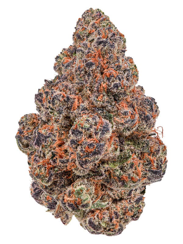 Blackberry Gelato 7g Flower – Cheers Cannabis Indica | Montrose