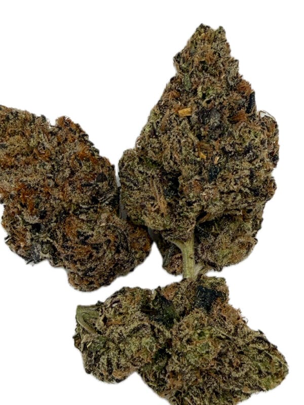 temple-of-fire-sudz-cannabis-strain