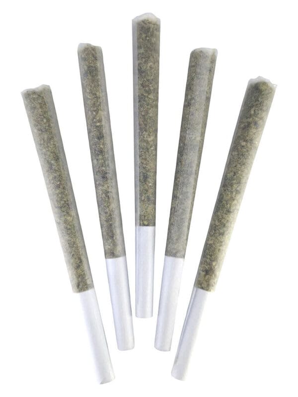 Super Silver Bubba Pre-Rolls 5 Pack – DEALR | Hybrid | Montrose