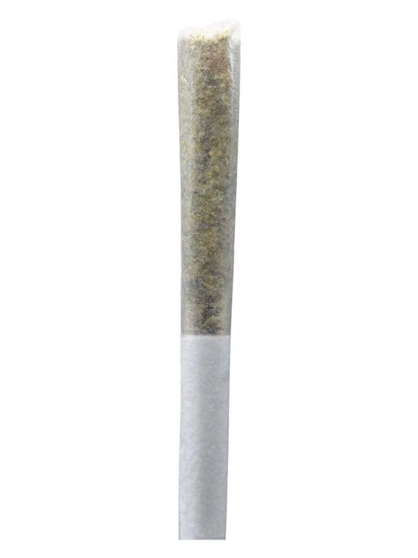 Permanent Gusher Pre-Rolls 10 Pack – ONO Hybrid | Montrose