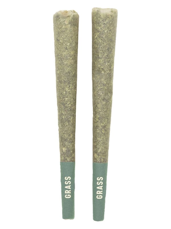 Granddaddy Purple Pre-Rolls 2 Pack – Grass Indica | Montrose