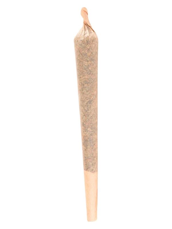 Runt Puncher Pre-Roll Single – Terp Town Indica | Montrose