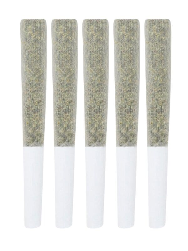 Black Cheese Pre-Rolls 5 Pack 5x0.5g - 3rd Coast Genetics Montrose Cannabis