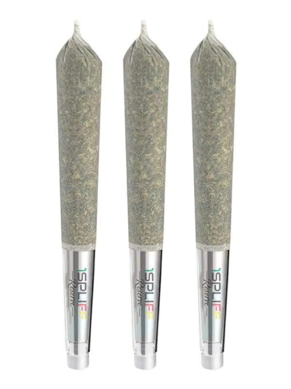 Bubba G Diamond Infused Glass Tip Pre-Rolls 3 Pack - 1Spliff Montrose Cannabis