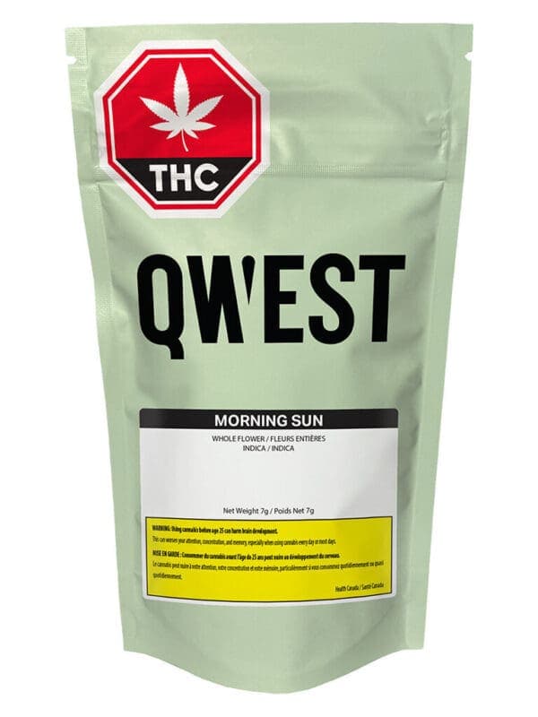 Toronto’s Top-Rated Weed Delivery Service – Montrose Cannabis