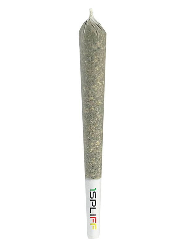 Relaxation Pre-Roll Single 1x1g – 1Spliff Pre-Rolls | Montrose Cannabis