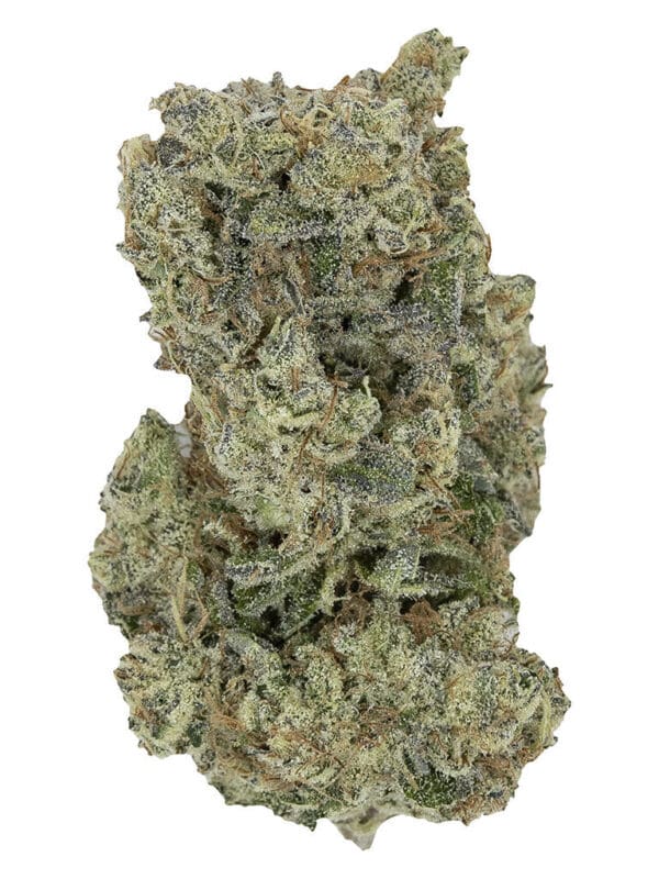 Hawaiian Fanta 14g Dried Flower – Pistol and Paris | Montrose
