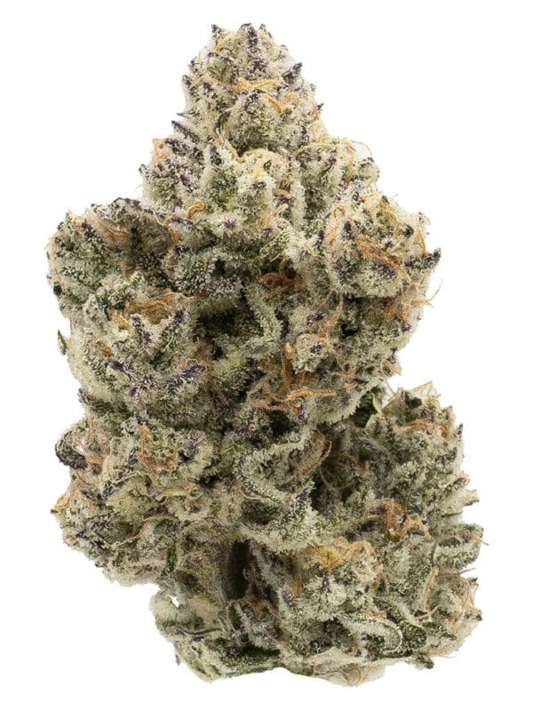 The Collective Oz 28g Northern Canna - Montrose Cannabis