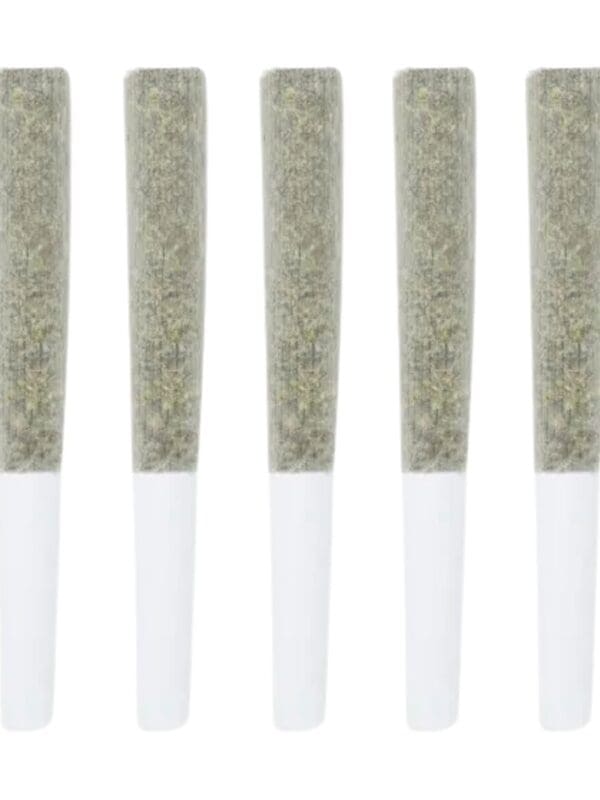Black Truffle Pre-Rolls 5 Pack 5x0.5g – 3rd Coast Genetics | Montrose