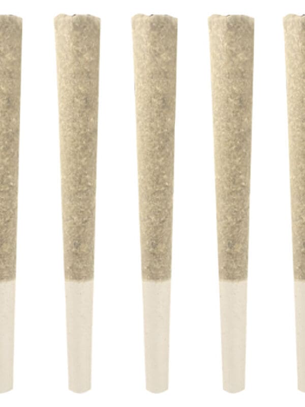 Jackson 5 Variety Pack Pre-Rolls 5x0.5g – Dom Jackson | Montrose