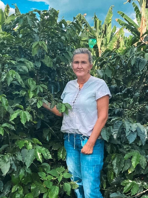 Maracay Pink Bourbon Washed - Image 3