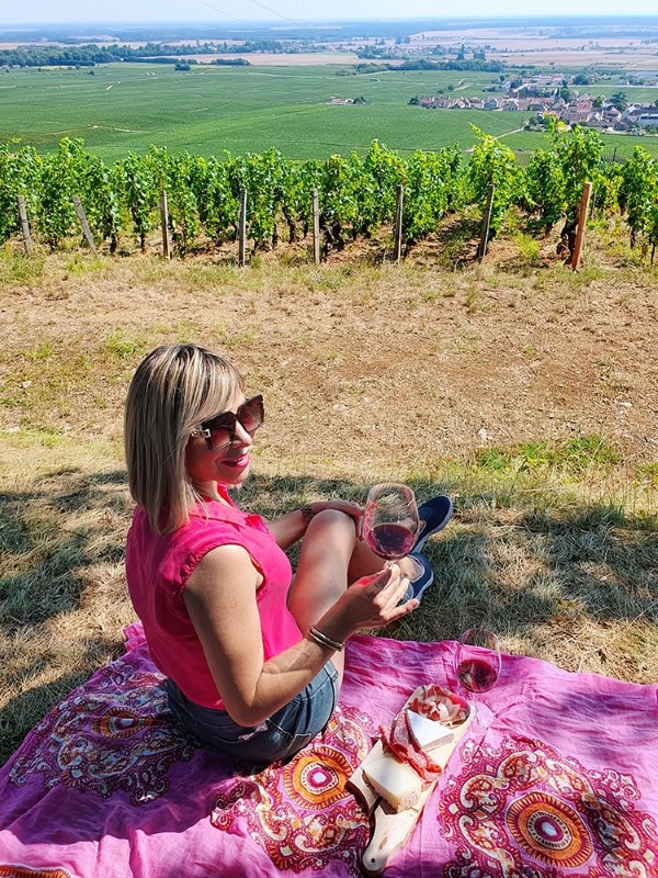 Picnic in Vosne Romanee