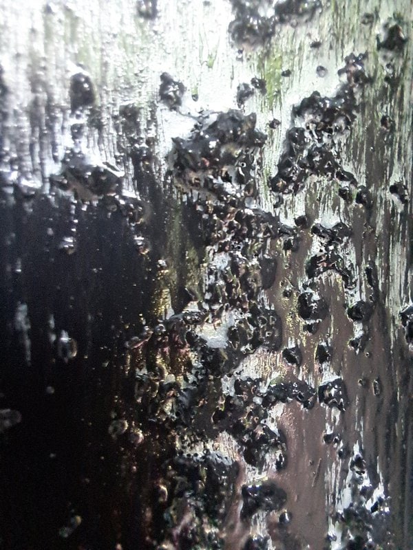 Black-Stop™ - Image 3