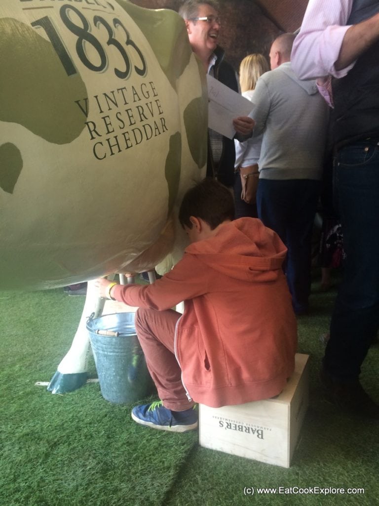 Barbers 1833 cheese Milking the cow