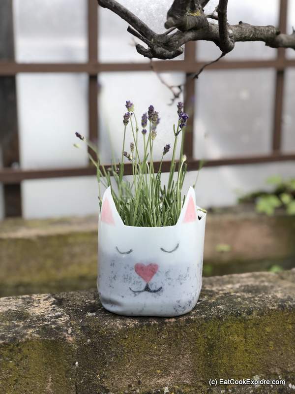 making cute planter from milk bottlles