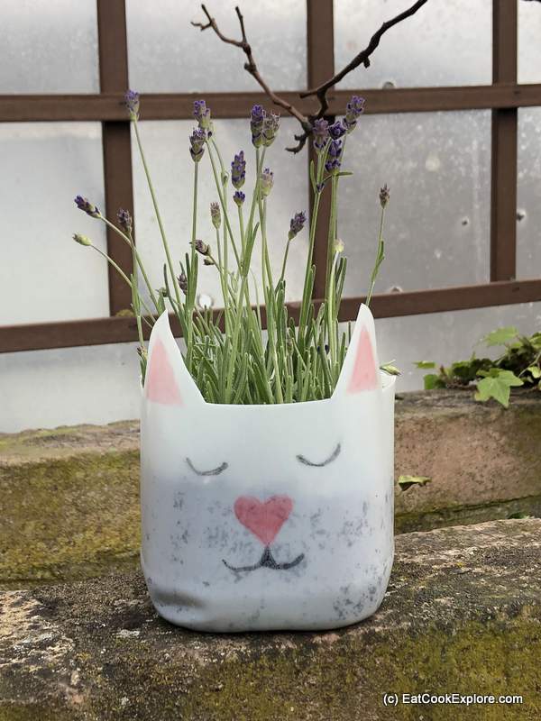 Making eco friendly choices with Arla Organic -Recycle milk bottles into planters 10 Milk bottle planter - cute cat filled with herbs