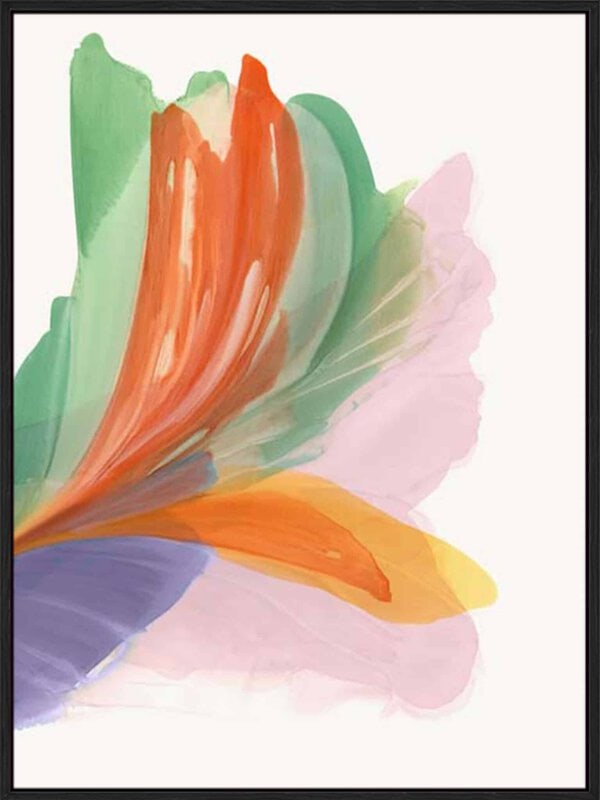 Blushing Feather II - Canvas Gallery Black